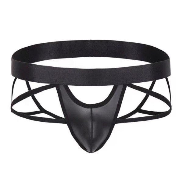 Men's T-back Sexy Underwear Mesh Transparent Hip-revealing Personalized Underwear for Gay Men