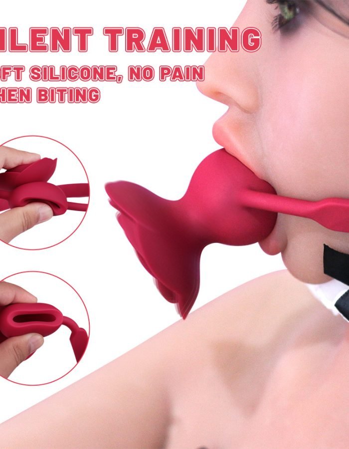 Rose vibrating mouth ball BDSM props couple flirting on the bed adult sex toys vibrating egg mouth ball